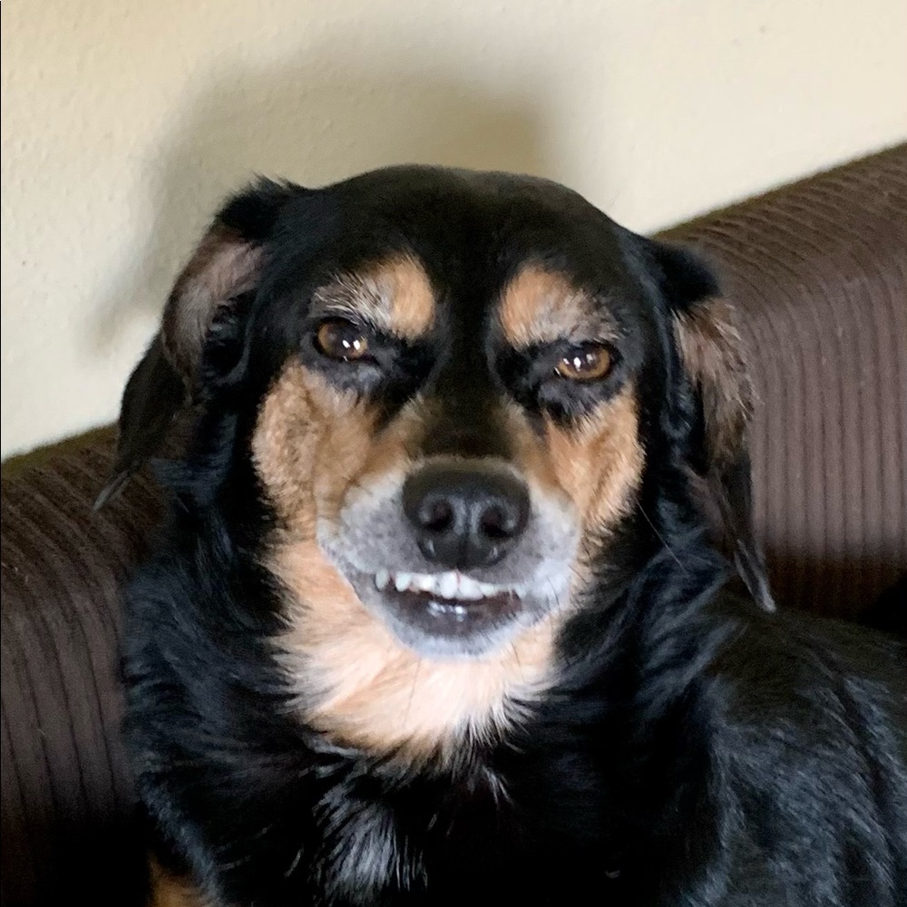 Meet your Posher, Christine